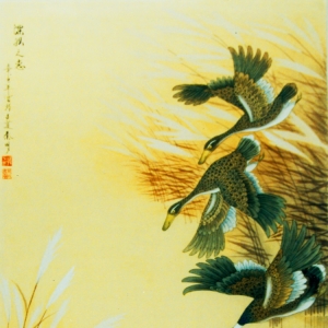 &#20061;&#28216;&#23448;&#26041;&#31471;&#20837;&#21475;&#45;&#20061;&#28216;&#40;&#20013;&#22269;&#41;